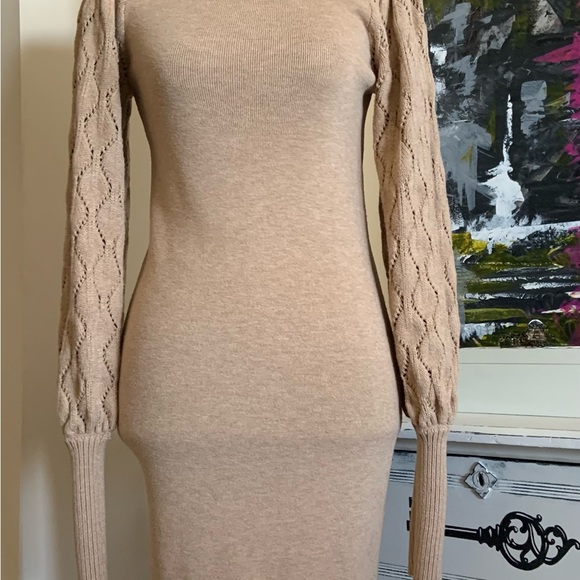 Body Con Express Sweater Dress - Picture 4 of 4
